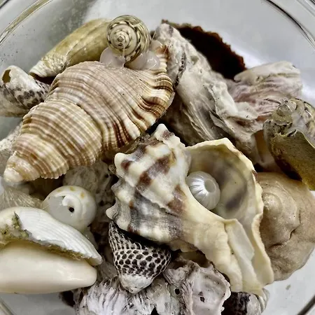 Iris Apartamento Apartament Arrieta (Lanzarote)