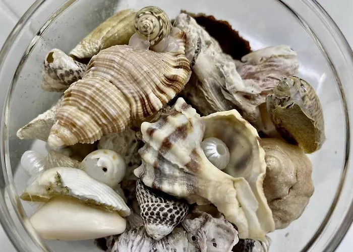 Iris Apartamento Appartement Arrieta (Lanzarote)